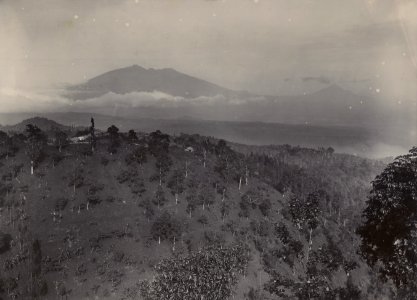 KITLV - 114096 - Kurkdjian, Ohannes - The Ardjoeno the Welirang and Penanggoengan with in the foreground the sanatorium Telagasari, presumably at Tosari - 18-6-1901 - 28-6-1901