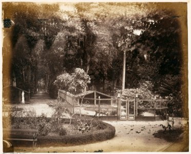 KITLV - 12675 - Deer park of the Government House in Paramaribo - circa 1890 photo