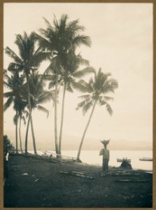 KITLV - 12427 - Kurkdjian - Soerabaja - Beach on Celebes (Sulawesi) - circa 1910