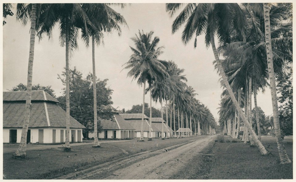 KITLV - 12589 - Kleingrothe, C.J. - Medan - Klapper Avenue with coolie housing near Batangkuwis in Deli - 1903