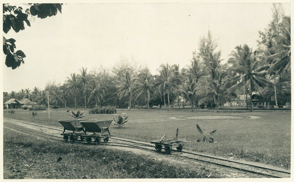 KITLV - 12605 - Kleingrothe, C.J. - Medan - Tobacco plantation with transport lorries at Batang Kuwis in Deli - 1903