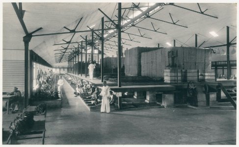 KITLV - 12609 - Kleingrothe, C.J. - Medan - Interior of a fermentation barn at Patumbah in Deli - 1903
