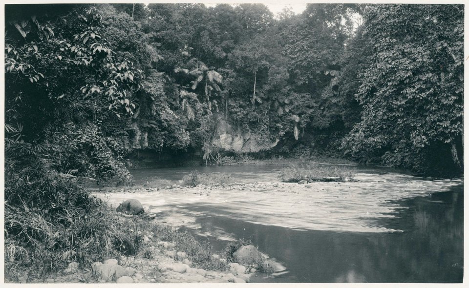 KITLV - 12613 - Kleingrothe, C.J. - Medan - The Sungai Belumai at Rumah Kebon in Deli - 1903