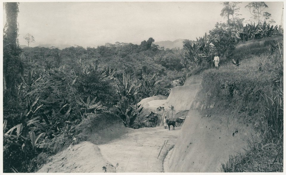 KITLV - 12617 - Kleingrothe, C.J. - Medan - Road between the tobacco companies Kotta-Djoeroeng and Namu Suru near Gunungrintih in Deli - 1903