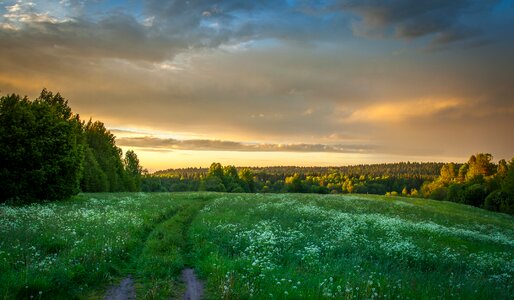 Outdoors no one field
