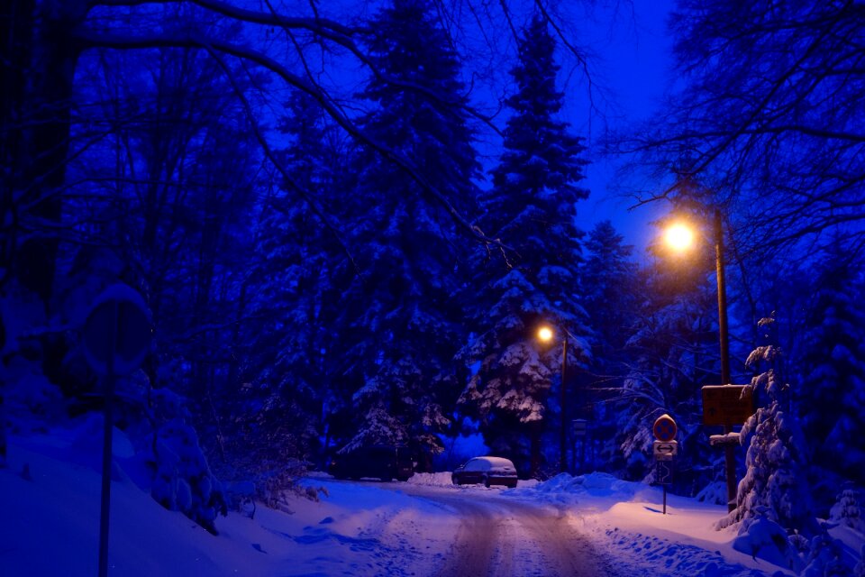 Cold season christmas