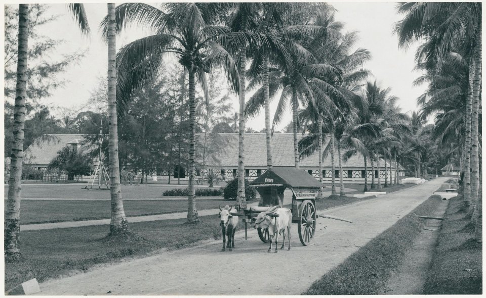 KITLV - 12641 - Kleingrothe, C.J. - Medan - Fermentation barn at the plantation Klambir-Lima in Deli - 1903