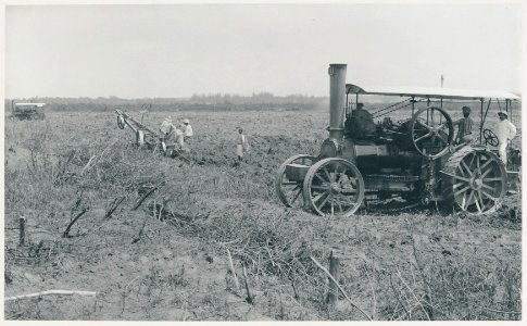 KITLV - 12649 - Kleingrothe, C.J. - Medan - Steam team of the Tobacco Company Arendsburg, Deli - 1903