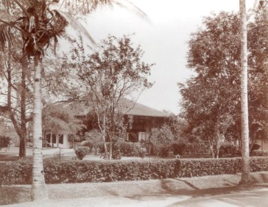 KITLV - 100575 - Stafhell & Kleingrothe - Medan-Deli - Office of the Deli Company in Medan, Sumatra - circa 1890