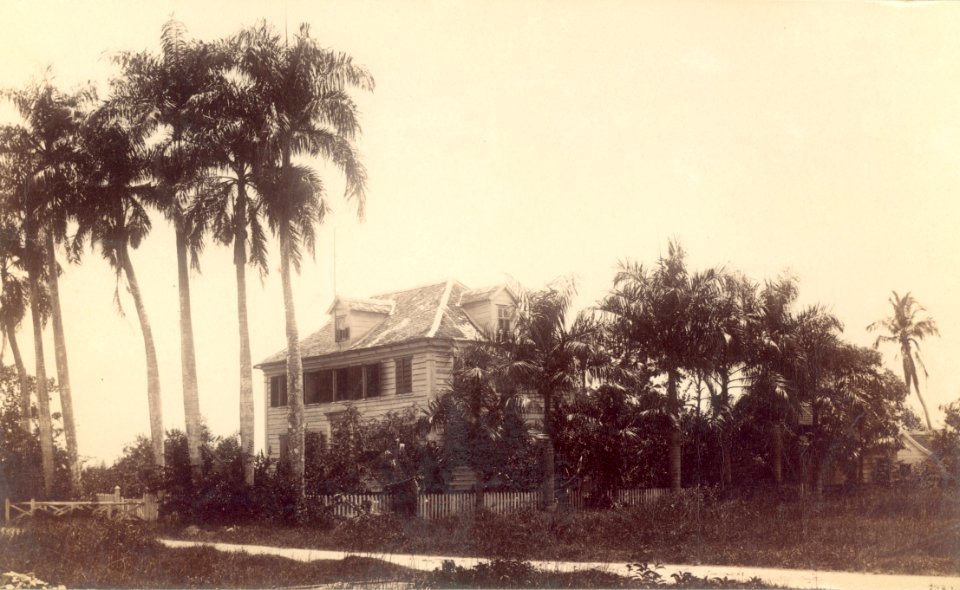 KITLV - 100645 - Grote Combéweg in Paramaribo - circa 1895
