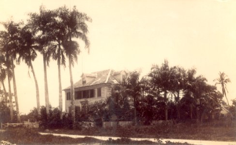 KITLV - 100645 - Grote Combéweg in Paramaribo - circa 1895