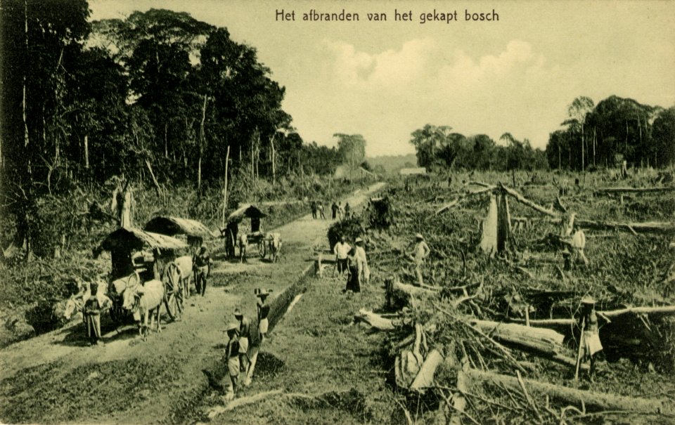 KITLV - 1402883 - Kleingrothe, C.J. - Medan - The burning of felled forest - circa 1910