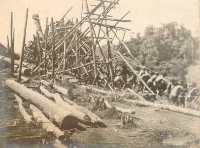 KITLV - 152064 - Demmeni, J. - The erection and support of a pole at the house of Kwing Irang, head of the Kayan on the Upper Mahakam river in Central Borneo - 1898-1900