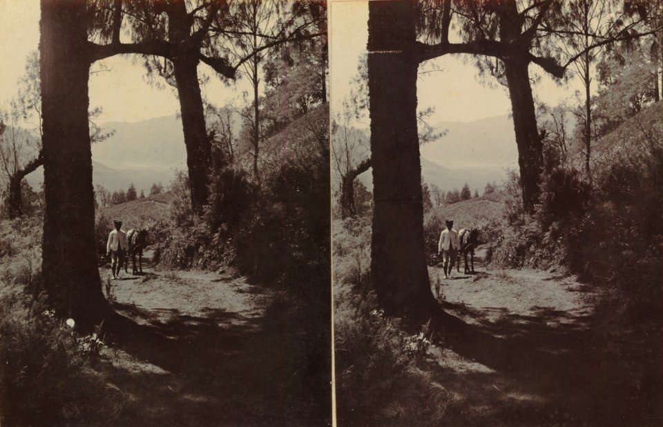 KITLV - 152825 - Kurkdjian, Ohannes - Soerabaya - Man with horse on the road to the Sand Sea (Lautan pasir) in Tosari in the Tengger Mountains - circa 1900