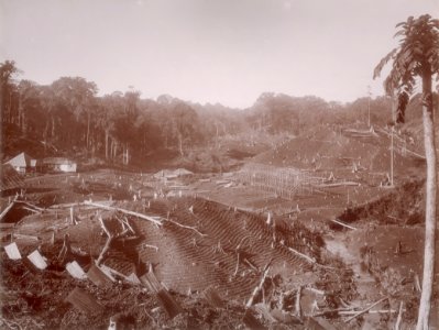 KITLV - 103488 - Stafhell & Kleingrothe - Medan-Deli - Construction of a new plantation in the Bedagai at Tebing Tinggi - circa 1890