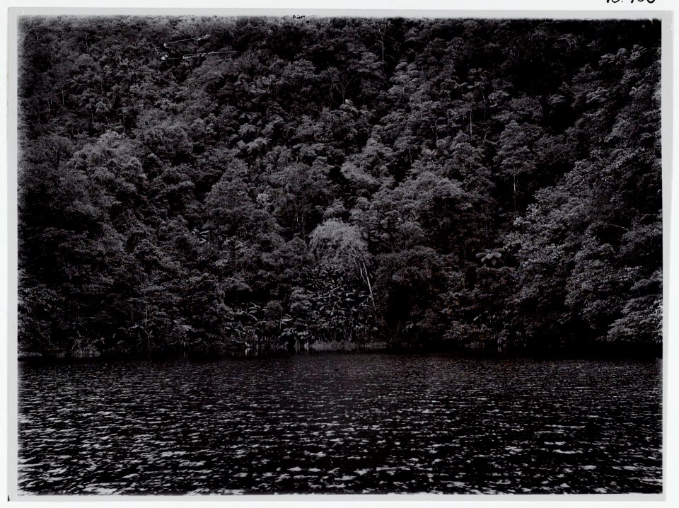 KITLV - 15450 - Kurkdjian - Soerabaja - Lake Sindanglaja in Cianjur - circa 1910