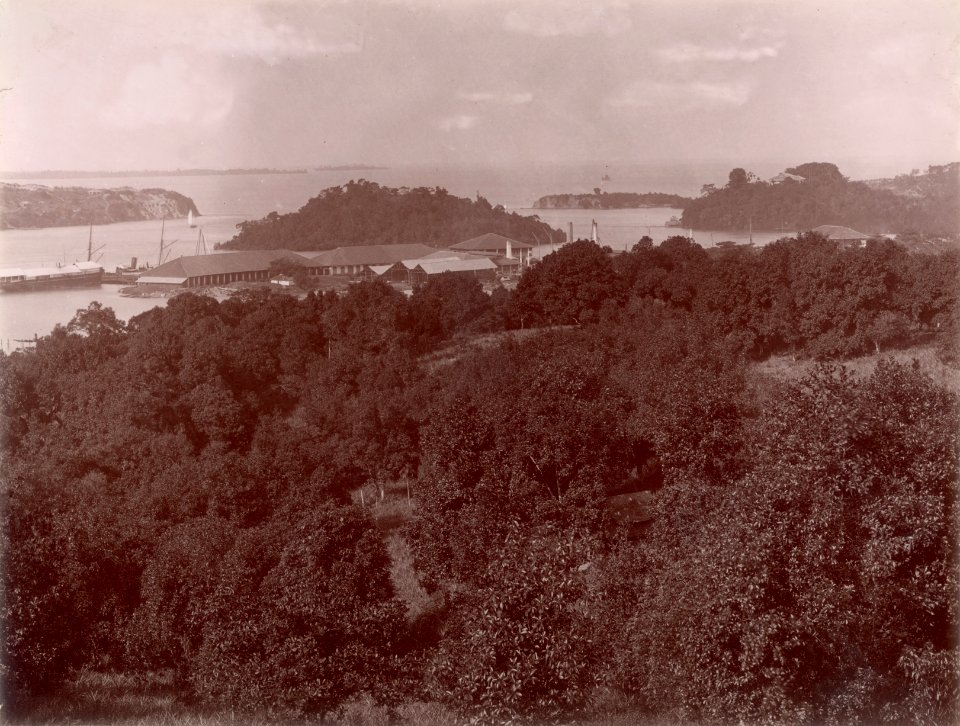 KITLV - 103749 - Roadstead of the harbor of Singapore --ARTWORK-- - circa 1890