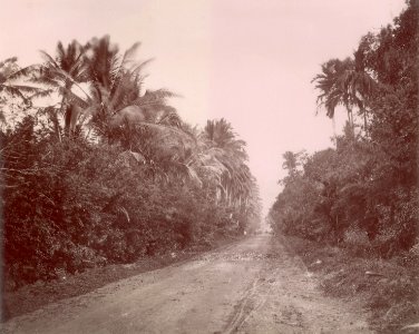 KITLV - 103799 - Road, probably in Singapore - circa 1890