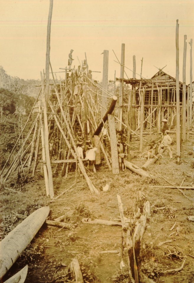 KITLV - 152100 - Demmeni, J. - The erection and support of a pole at the house of Kwing Irang, head of Kayan on the Upper Mahakam in Central Borneo - 1898-1900