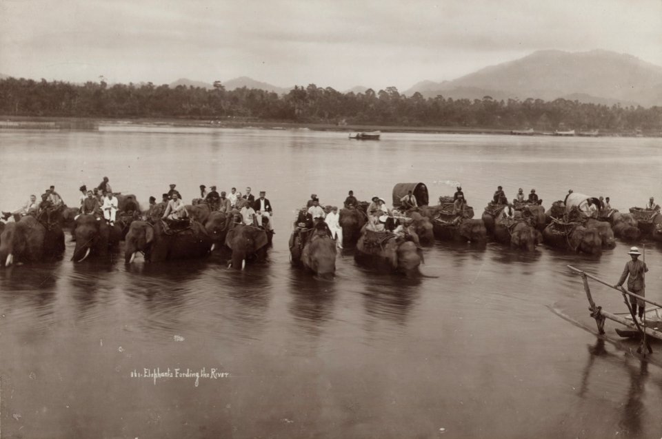 KITLV - 106077 - Lambert & Co., G.R. - Singapore - Herd of elephants in Perak in Malacca (Melaka) - circa 1900
