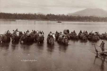 KITLV - 106077 - Lambert & Co., G.R. - Singapore - Herd of elephants in Perak in Malacca (Melaka) - circa 1900