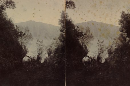 KITLV - 154571 - Kurkdjian, Ohannes - Soerabaya - Mountain trail with a view of the Sand sea (Lautan Pasir) in the Tengger Mountains, Java - circa 1910