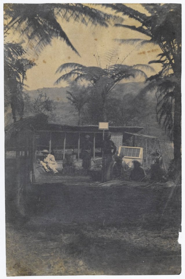KITLV - 16065 - Junghuhn, Franz Wilhelm (1809-1864) - Franz Wilhelm Junghuhn with staff in his Cinchona experimental garden at Lembang near Bandung - circa 1860