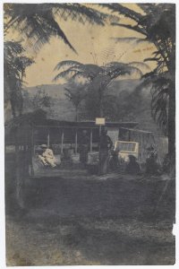 KITLV - 16065 - Junghuhn, Franz Wilhelm (1809-1864) - Franz Wilhelm Junghuhn with staff in his Cinchona experimental garden at Lembang near Bandung - circa 1860