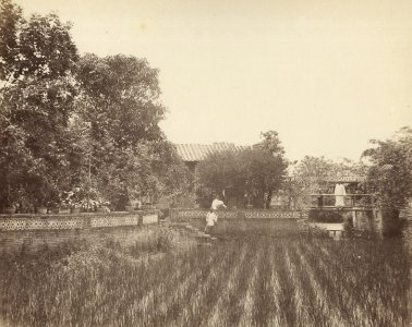 KITLV - 110069 - Garden of Poen Tin Keva, Guangzhou (Canton), China - circa 1871