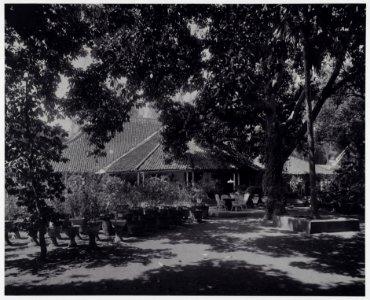KITLV - 17848 - Kurkdjian - Soerabaja - Rear of the administrator's house of the sugar factory De Maas near Situbondo - circa 1910