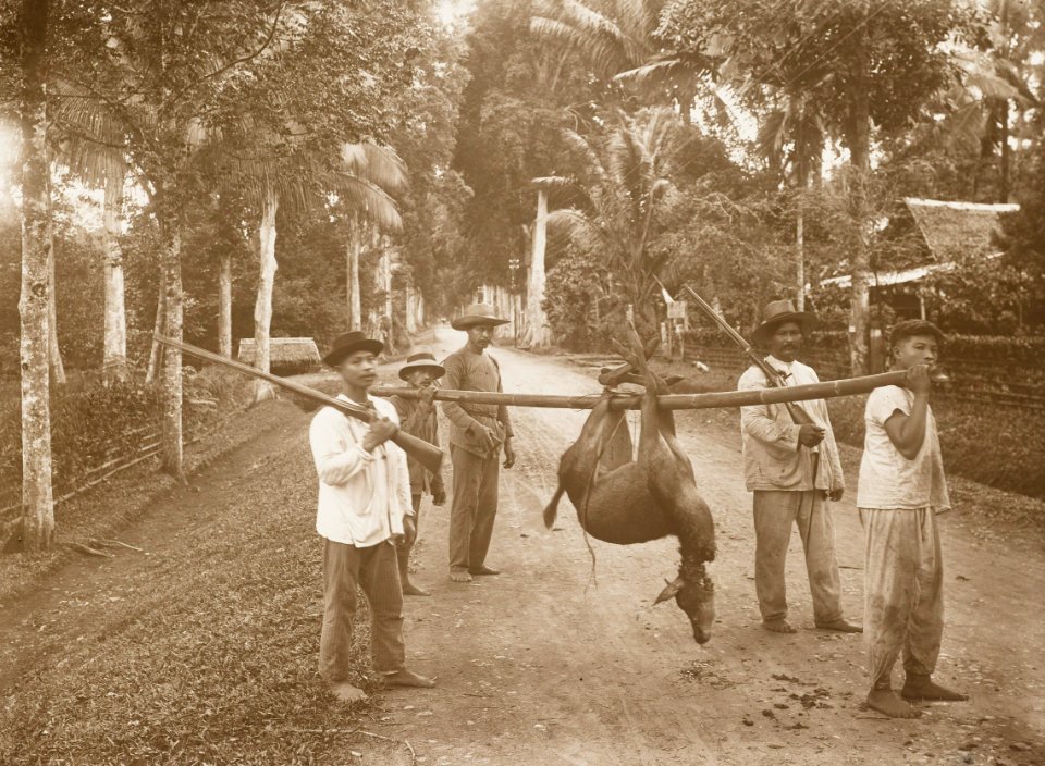 KITLV - 158787 - Kurkdjian - Sourabaia-Java - Men returning in a village in the Minahasa from hunting with a shot deer - circa 1900