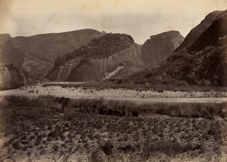 KITLV - 110105 - Tea plantation in China - circa 1871