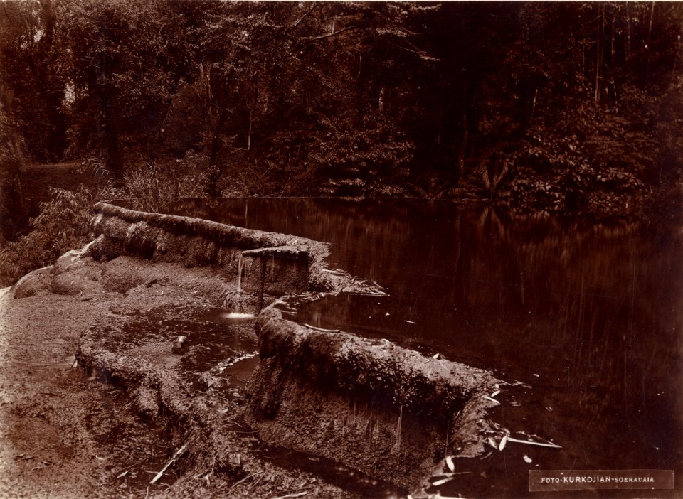 KITLV - 180182 - Kurkdjian, N.V. Photografisch Atelier - Soerabaia-Java - Irrigation in a paddy field in Java or Bali - circa 1908