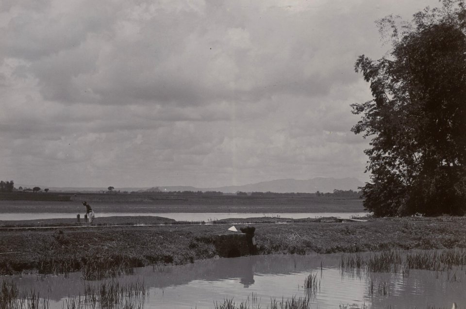 KITLV - 114001 - Kurkdjian - River, probably at the agricultural holding Gondangsari near Klaten, Central Java - 1897