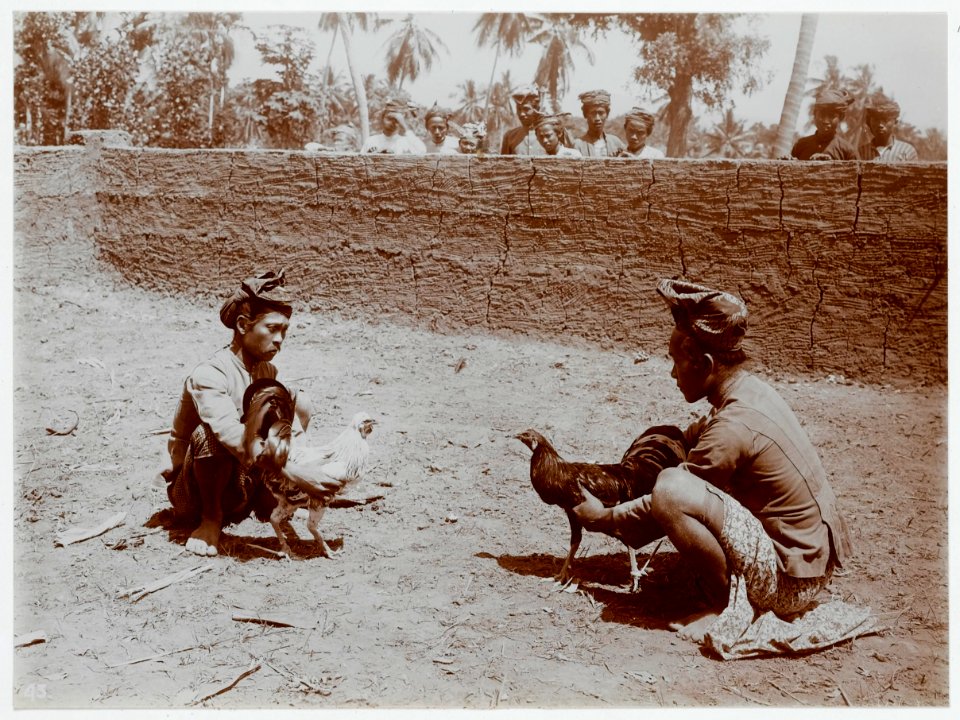 KITLV - 18858 - Kurkdjian, Ohannes - Soerabaja - Cockfight in Bali - circa 1915
