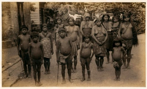 KITLV - 11646 - Indians on the way to an audience with the governor in Paramaribo - 1892-02-19- 1892-02-25