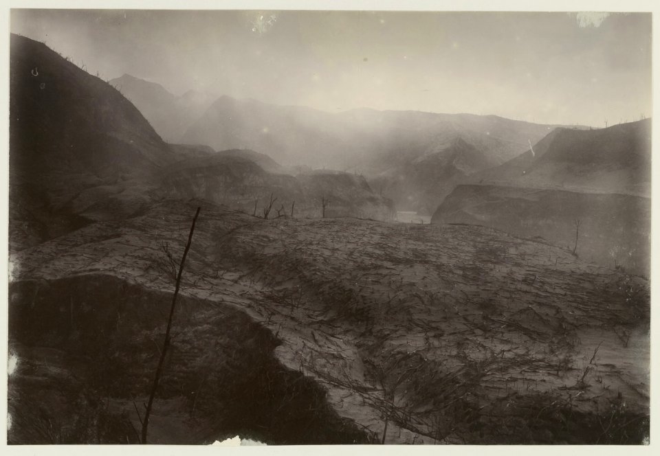 KITLV - 19386 - Kurkdjian - Soerabaja - Burned down coffee plantation in Java - 1901-03- 1902-07