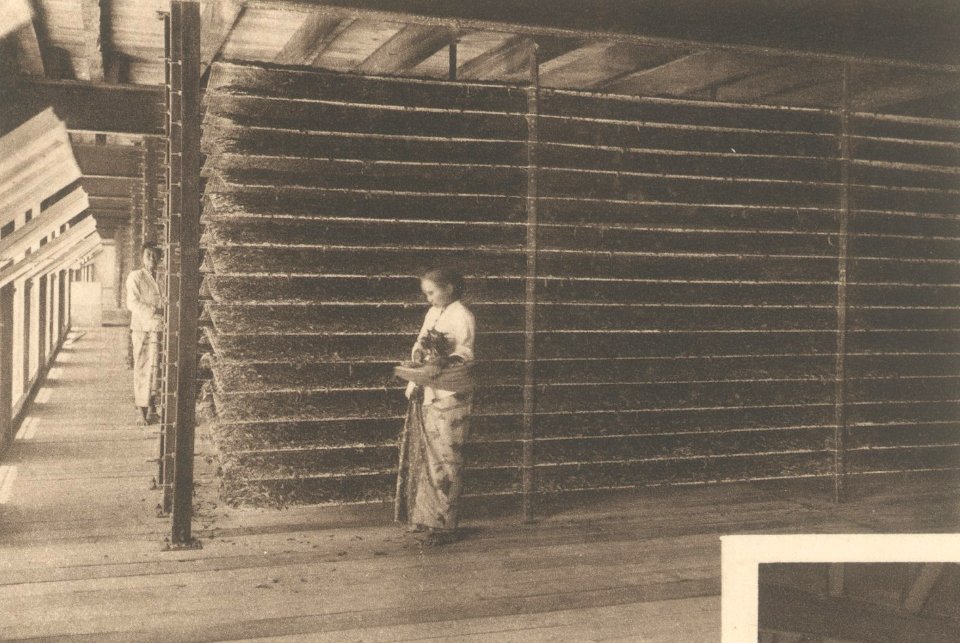 KITLV - 101128 - Kleingrothe, C.J. - Medan - Flange racks at a tea factory, probably the Naga Hoeta (Naga Huta) Estate in Pematangsiantar (Kota Pematangsiantar) - circa 1905