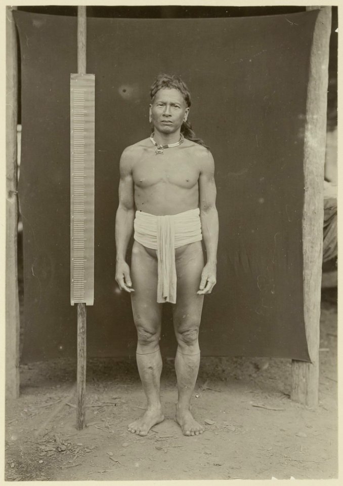 KITLV - 25680 - Demmeni, J. - A priest of Pnihings (Penihings) on the Upper Mahakam, Central Borneo - 1898-1900