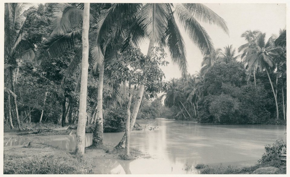 KITLV - 12602 - Kleingrothe, C.J. - Medan - River, probably the Sungai Serdang, at Batangkuwis in Deli - 1903