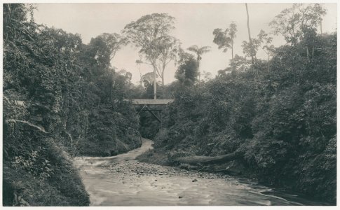 KITLV - 12614 - Kleingrothe, C.J. - Medan - Bridge over the Sungai Belumai at Sedari in Deli, Sumatra - 1903