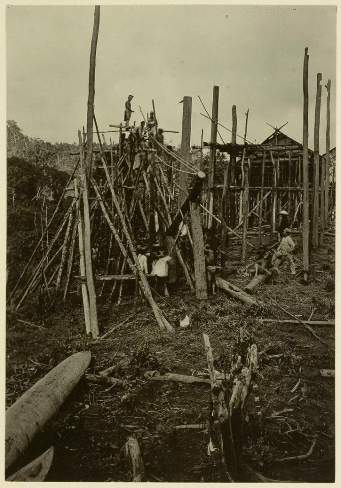 KITLV - 25708 - Demmeni, J. - The erection and support of a pole at the house of Kwing Irang, head of the Kayans on the Upper Mahakam, Central Borneo - 1898-1900