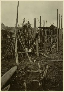 KITLV - 25708 - Demmeni, J. - The erection and support of a pole at the house of Kwing Irang, head of the Kayans on the Upper Mahakam, Central Borneo - 1898-1900
