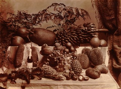 KITLV - 103545 - Stafhell & Kleingrothe - Medan-Deli - Hall in the palace of the Sultan of Deli, Medan, Sumatra - 1892-1895