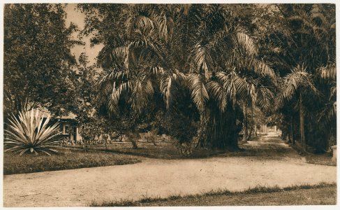 KITLV - 12622 - Kleingrothe, C.J. - Medan - Office of the plantation Kwala Mencirim of the Deli Company in Deli - 1903