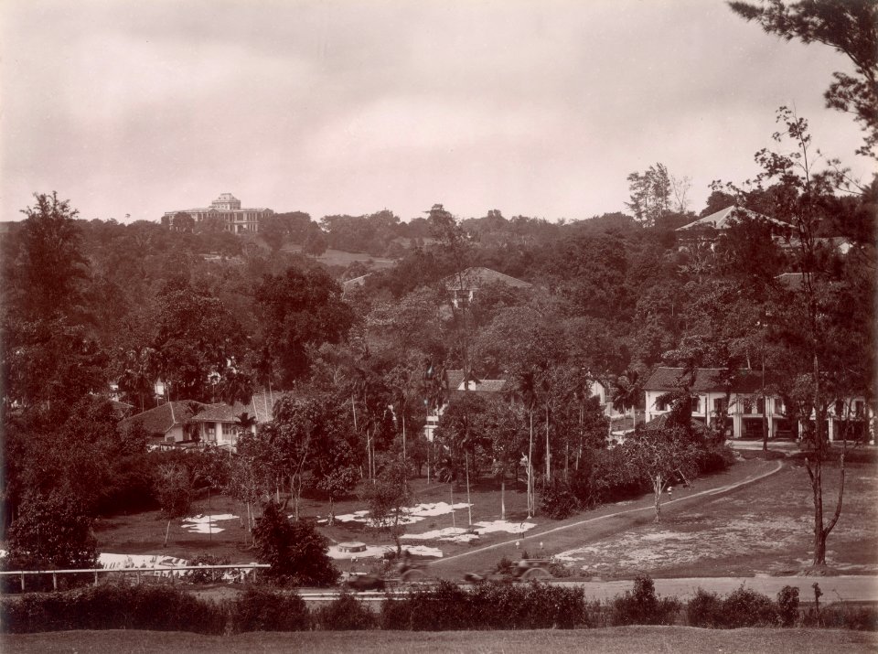 KITLV - 103755 - Orchard Road in Singapore against the backdrop of the Government House - circa 1890