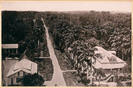KITLV - 12658 - Groote Combé-colonial Museum in Paramaribo seen from a tower - circa 1899