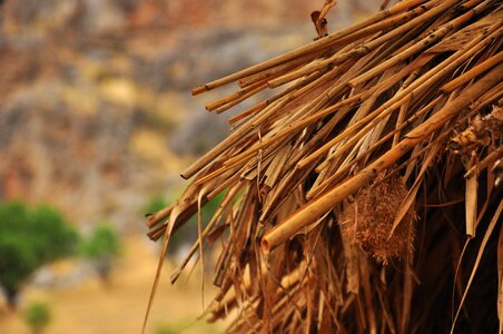 Detail background abstract photo