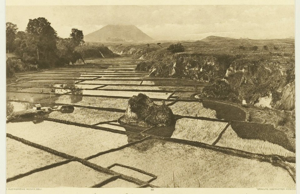 KITLV - 26877 - Kleingrothe, C.J. - Medan - Paddy field near Rakut Besi in the Batak - circa 1905