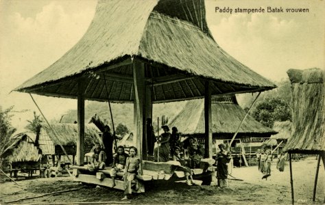 KITLV - 1400326 - Kleingrothe, C.J. - Medan - Karo Batak women pounding rice in a village on the east coast of Sumatra - circa 1900